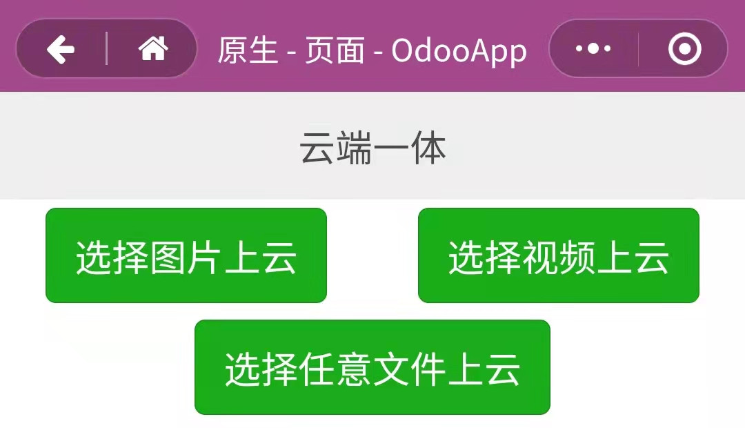 Odoo uniCloud Serverless Computing Low Code App